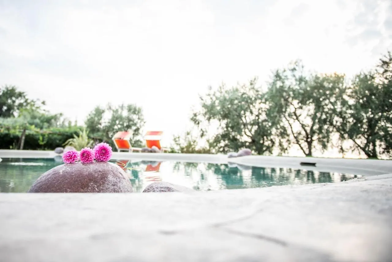 Agriturismo Il Grappolo Lazise Farmház